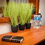 Apartamento Peak 508 *